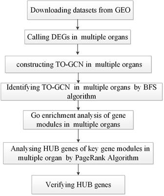The Molecular Mechanism of Multiple Organ Dysfunction and Targeted Intervention of COVID-19 Based on Time-Order Transcriptomic Analysis